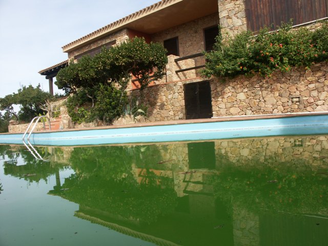 Una villa con piscina a Costa Paradiso