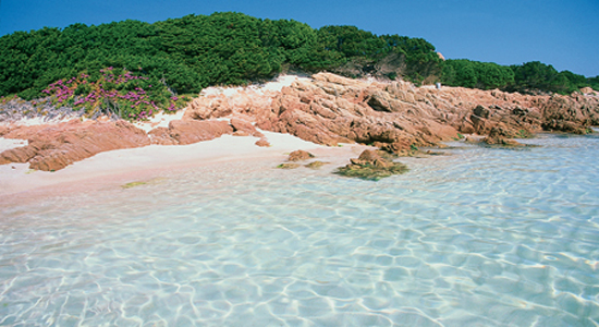 Isola di Budelli, la Spiaggia Rosa